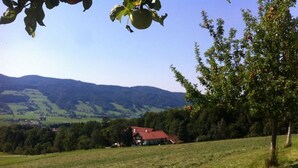 A rural landscape with a house on a hill, surrounded by fields and trees. - Dachsteinblick - Organic Farm Mondsee Family Schafleitner-Kroiß (3 Flowers) (Guggenberg)