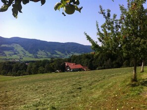 Un paysage rural avec une maison située sur une colline, entourée de champs et d’arbres.