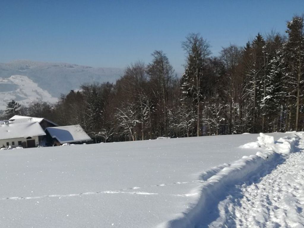 A snowy landscape with a building and trees.