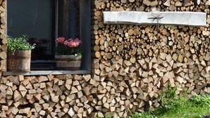 A building facade with stacked firewood and a window with potted plants. - Dachsteinblick - Organic Farm Mondsee Family Schafleitner-Kroiß (3 Flowers) (Guggenberg)
