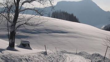 Lumi- ja hiihtourheilulajit