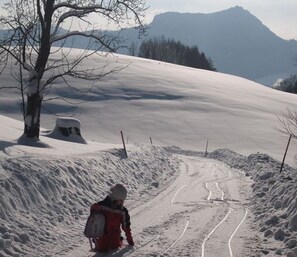 Sneeuw- en skisporten