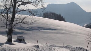 A snowy mountain path with a person in red and black attire. - Dachsteinblick - Organic Farm Mondsee Family Schafleitner-Kroiß (3 Flowers) (Guggenberg)