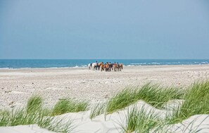 Fishing - Amazing home in Blåvand with sauna (Blåvand)
