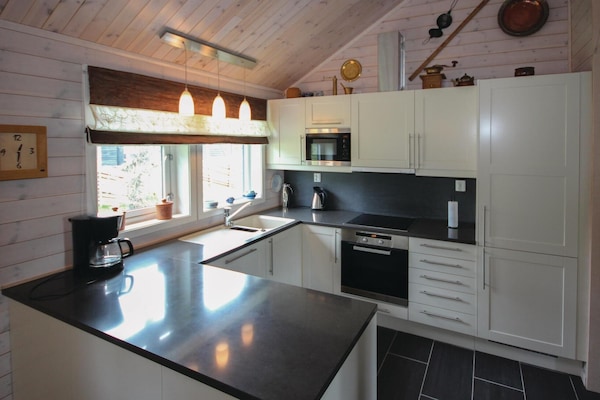 Réfrigérateur, plaque de cuisson, lave-vaisselle, cafetiÚre/bouilloire