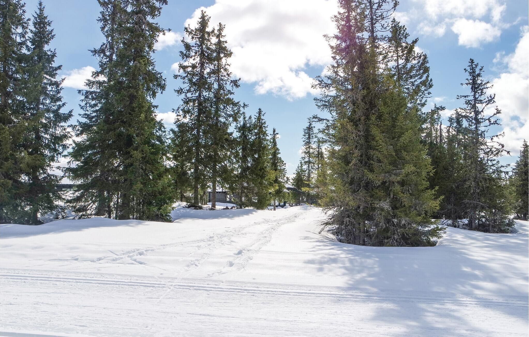 A snow-covered path flanked by tall evergreen trees, leading towards a building with a sloped roof.
