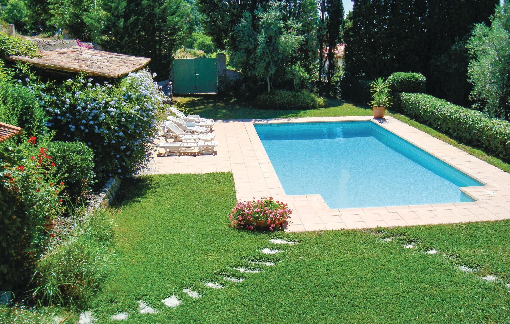 Una piscina rettangolare circondata da un prato curato e diverse piante.