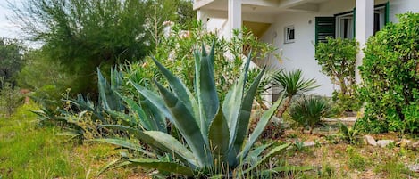 A modern two-story house with a balcony, surrounded by a garden with various plants and trees.