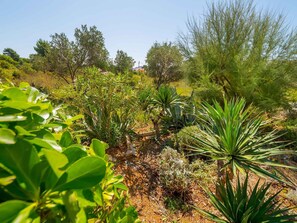 Property grounds - Holiday apartment mit Klimaanlage (Barbat)