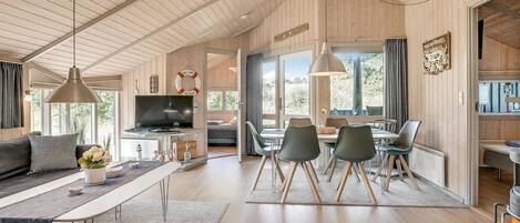 Télévision, cheminée, lecteur de DVD