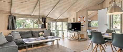 Télévision, cheminée, lecteur de DVD