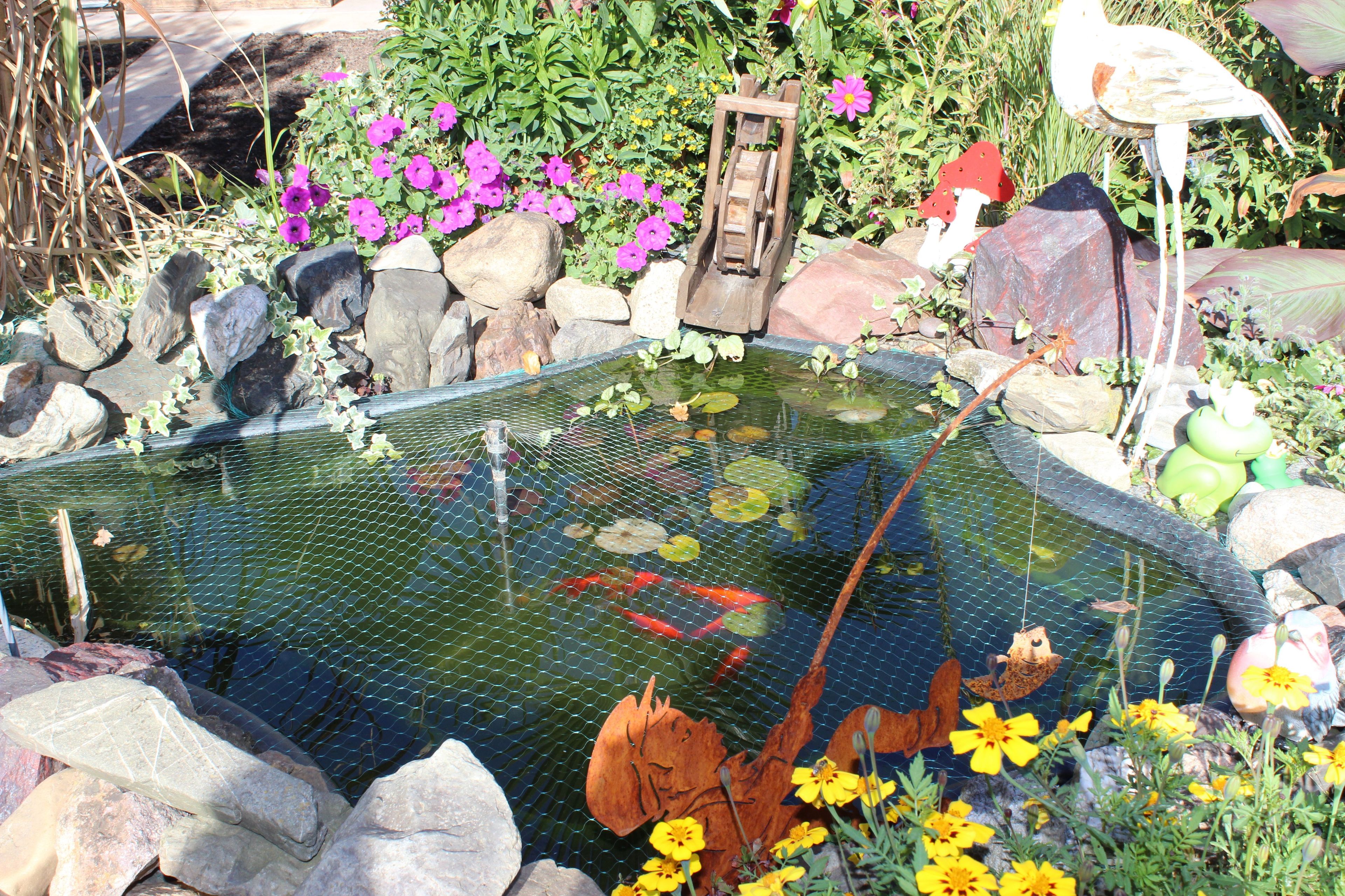 A koi pond with rocks and plants, surrounded by a fence.
