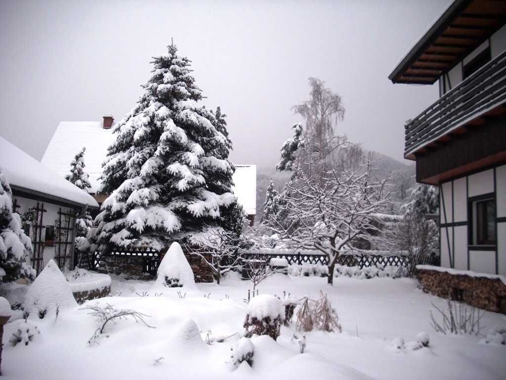 A snow-covered residential area with a large evergreen tree, a white building with a dark roof, and a wooden fence.