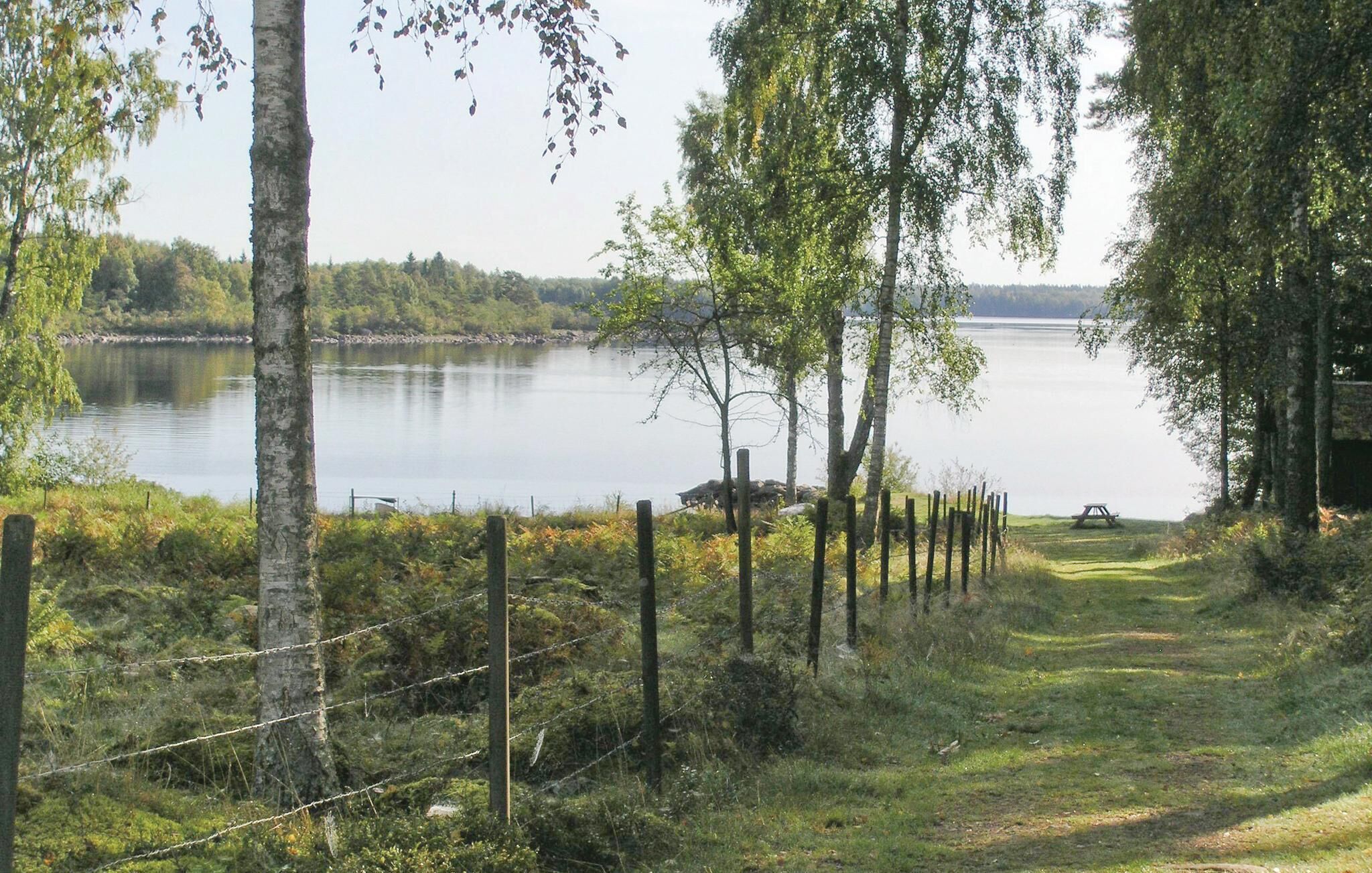 Blick auf einen See mit einer Holzbank und einem Picknicktisch, umgeben von Bäumen und einem Zaun.