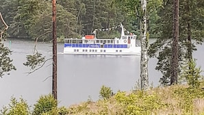 A riverboat with a cabin and deck seating, surrounded by trees and calm water.