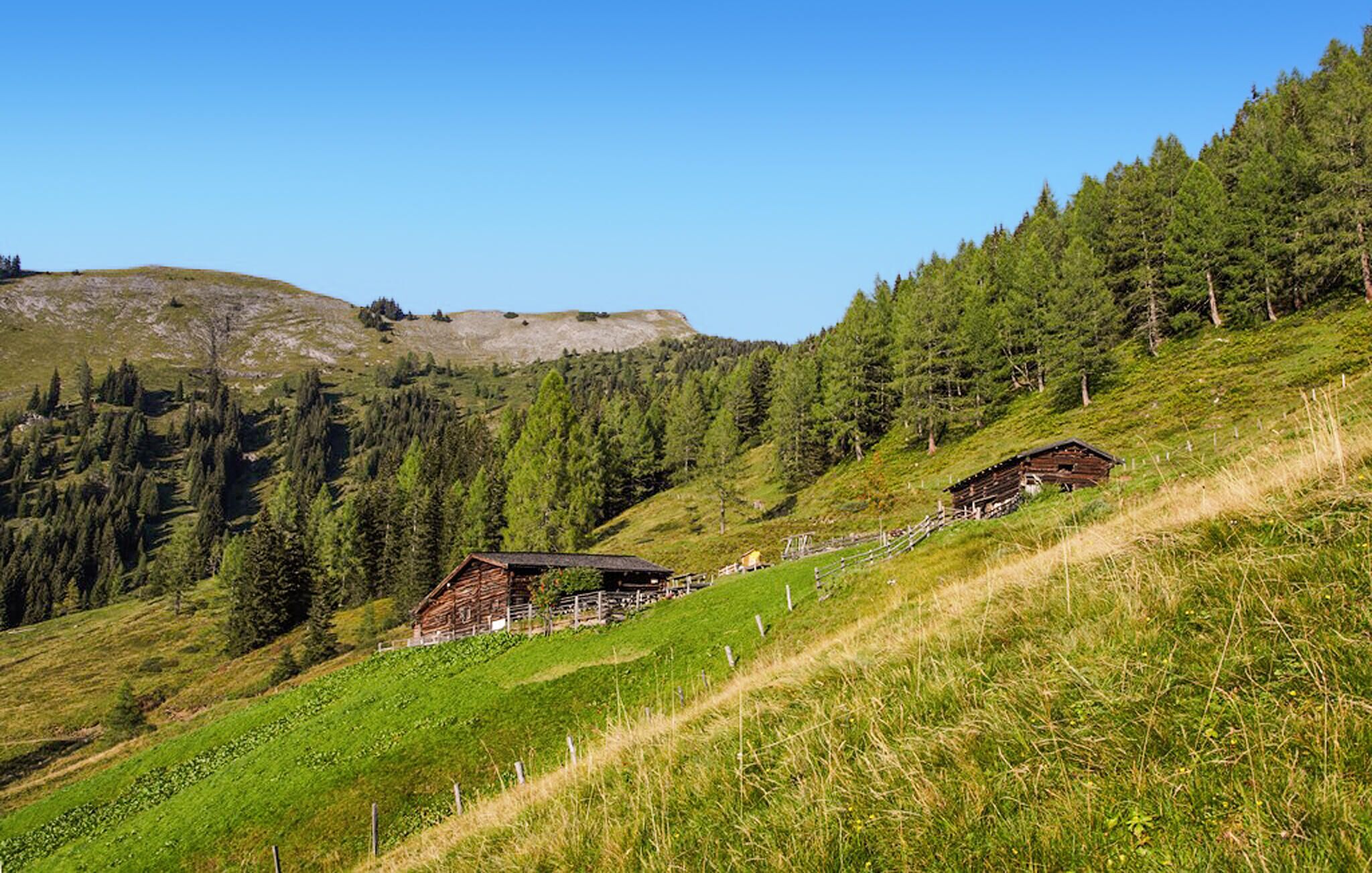 A mountainous landscape with two wooden cabins, surrounded by dense forests and a clear sky.