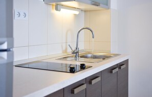 Fridge, microwave, stovetop, coffee/tea maker - 1 bedroom nice apartment in Stanici (Stanici)