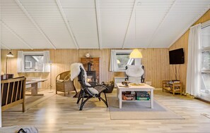 تلفزيون، مدفأة، مشغل دي في دي