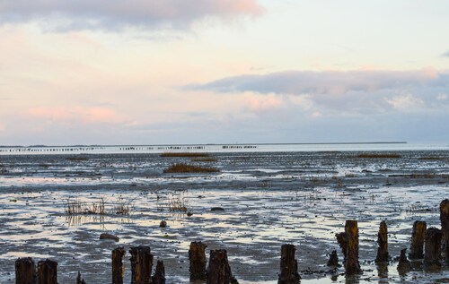 3 huoneen majoitus Rømø