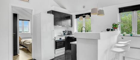 Fridge, stovetop, dishwasher, coffee/tea maker