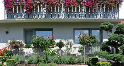 Appartement sur le Wiesent - Appartement An der Wiesent