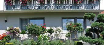 Apartment on the Wiesent - Apartment An der Wiesent