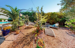 Property grounds - Pet friendly home in Capendu (Capendu)