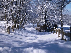 Botón de imagen sin clasificar, 4 de 21