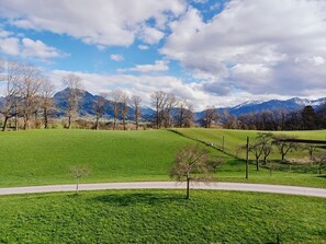 Botón de imagen sin clasificar, 3 de 21