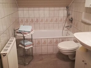 Shower, hair dryer, towels