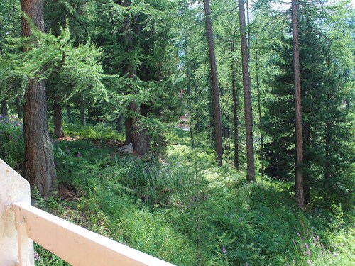 Cozy 2-Room Mountain Apt, 6 Guests, 30m to Slopes, Central Vars