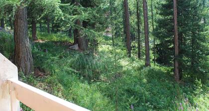 Cozy 2-Room Mountain Apt, 6 Guests, 30m to Slopes, Central Vars