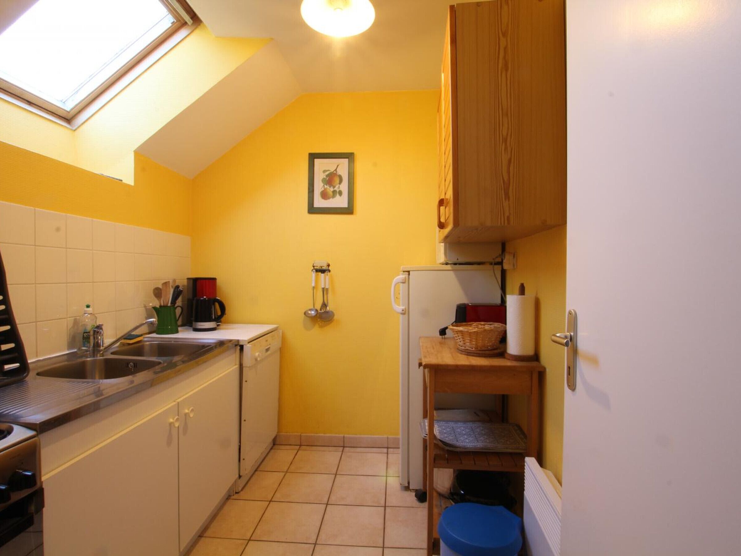 A compact kitchen with a skylight, a refrigerator, and basic appliances.