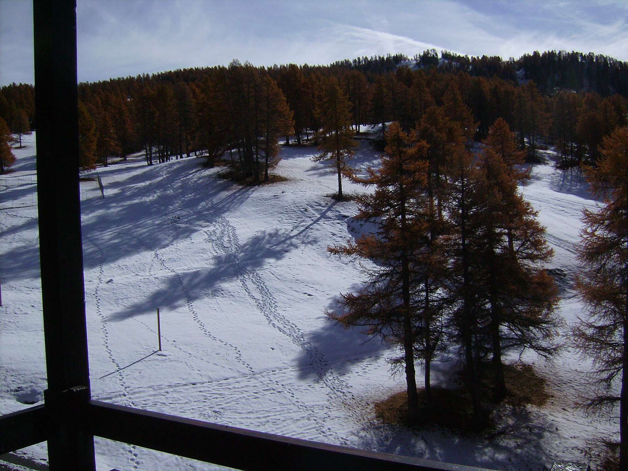A snowy landscape with trees and a clear sky.