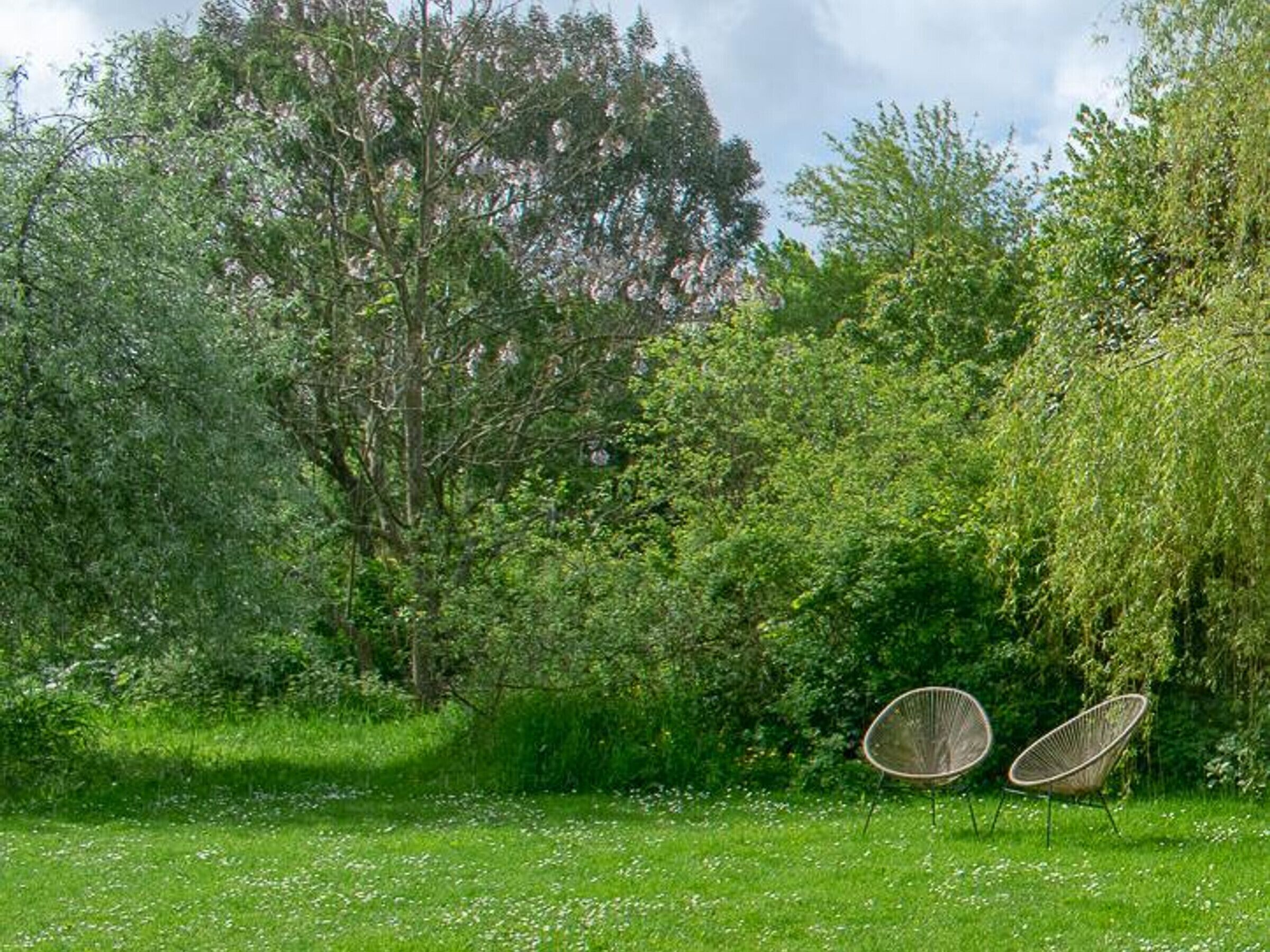 Ein grüner Bereich mit zwei Korbstühlen und dichtem Grün im Hintergrund.