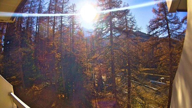 Vista a través de una ventana de un área boscosa con una montaña al fondo.