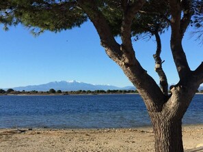 A tree-lined lakeside view with a mountain in the background.