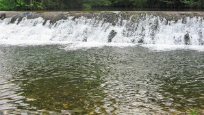 Een waterval stort over rotsen in een heldere beek, omringd door weelderige groene bomen.