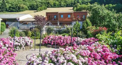Homerez - Cosy apartment in Fayet with view, 55m²