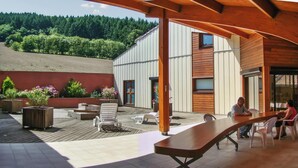 Een terras buiten met een lange houten tafel, verschillende stoelen en potplanten.