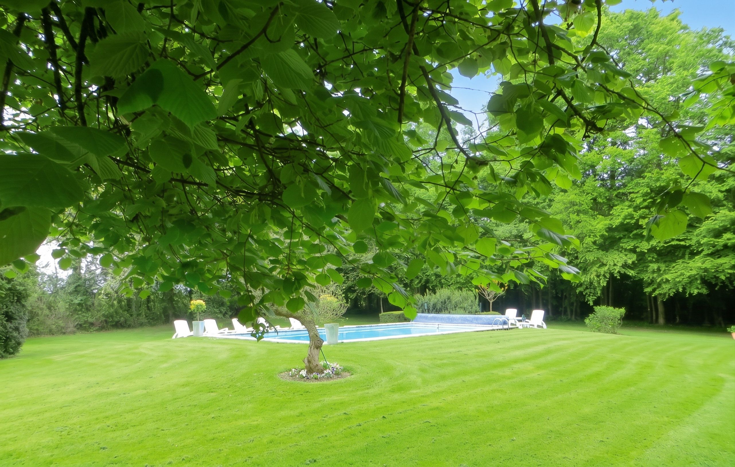 Un prato curato con una piscina e lettini da relax.