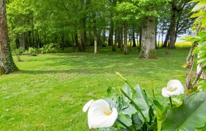 A lush green park with trees and a grassy area. - Homerez - House in Saint Branchs (Saint Branchs)