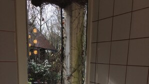 A bathroom with a window, a potted plant, and a toilet. - Homerez - House in Saint Branchs (Saint Branchs)