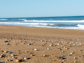 Plage à proximité