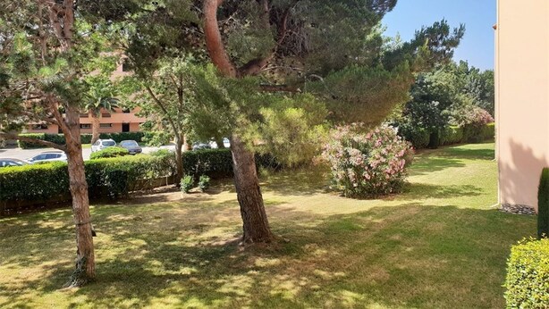 Ein gepflegter Garten mit alten Bäumen und Rasenflächen, vermutlich Teil eines Wohn- oder Hotelanwesens.