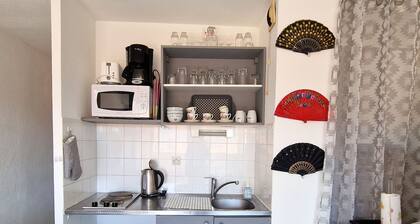 Banyuls-sur-Mer: Apartamento T2 con terraza cubierta y parking privado