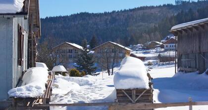 Homerez - Appartement à Xonrupt-Longemer