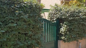Une porte verte, avec un mur recouvert de lierre.