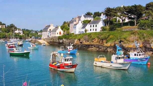 Un port où plusieurs bateaux sont amarrés, entouré de maisons et de verdure.