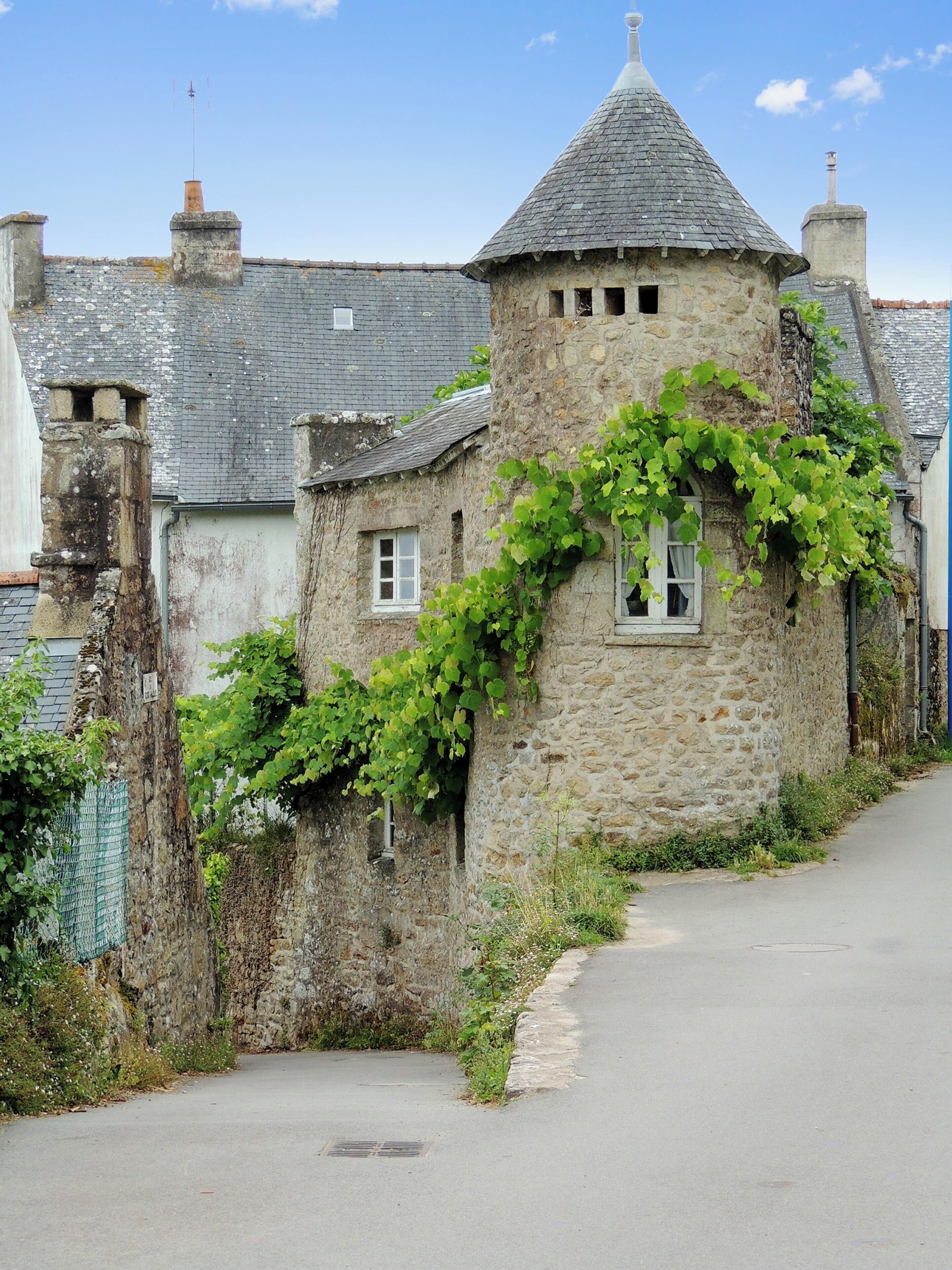 A stone tower with a conical roof, ivy-covered walls, and a narrow road leading to it.